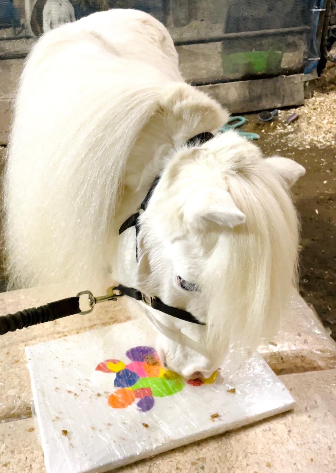 Happy Hooves pony and visitor